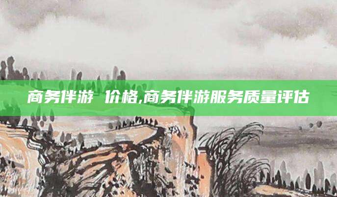 定边商务伴游 价格,商务伴游服务质量评估
