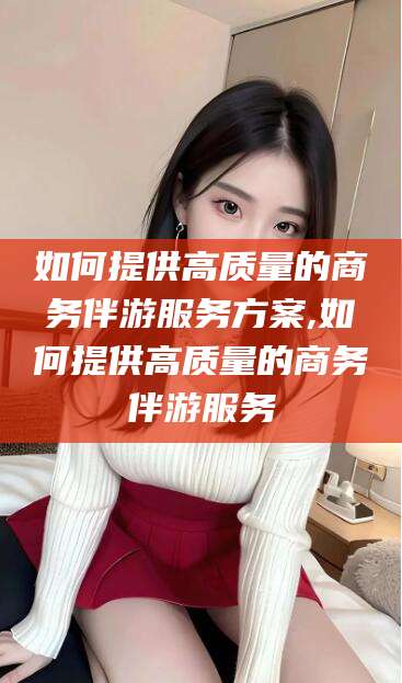 定边如何提供高质量的商务伴游服务方案,如何提供高质量的商务伴游服务