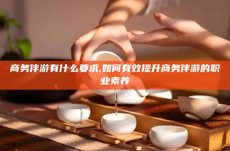 定边商务伴游有什么要求,如何有效提升商务伴游的职业素养